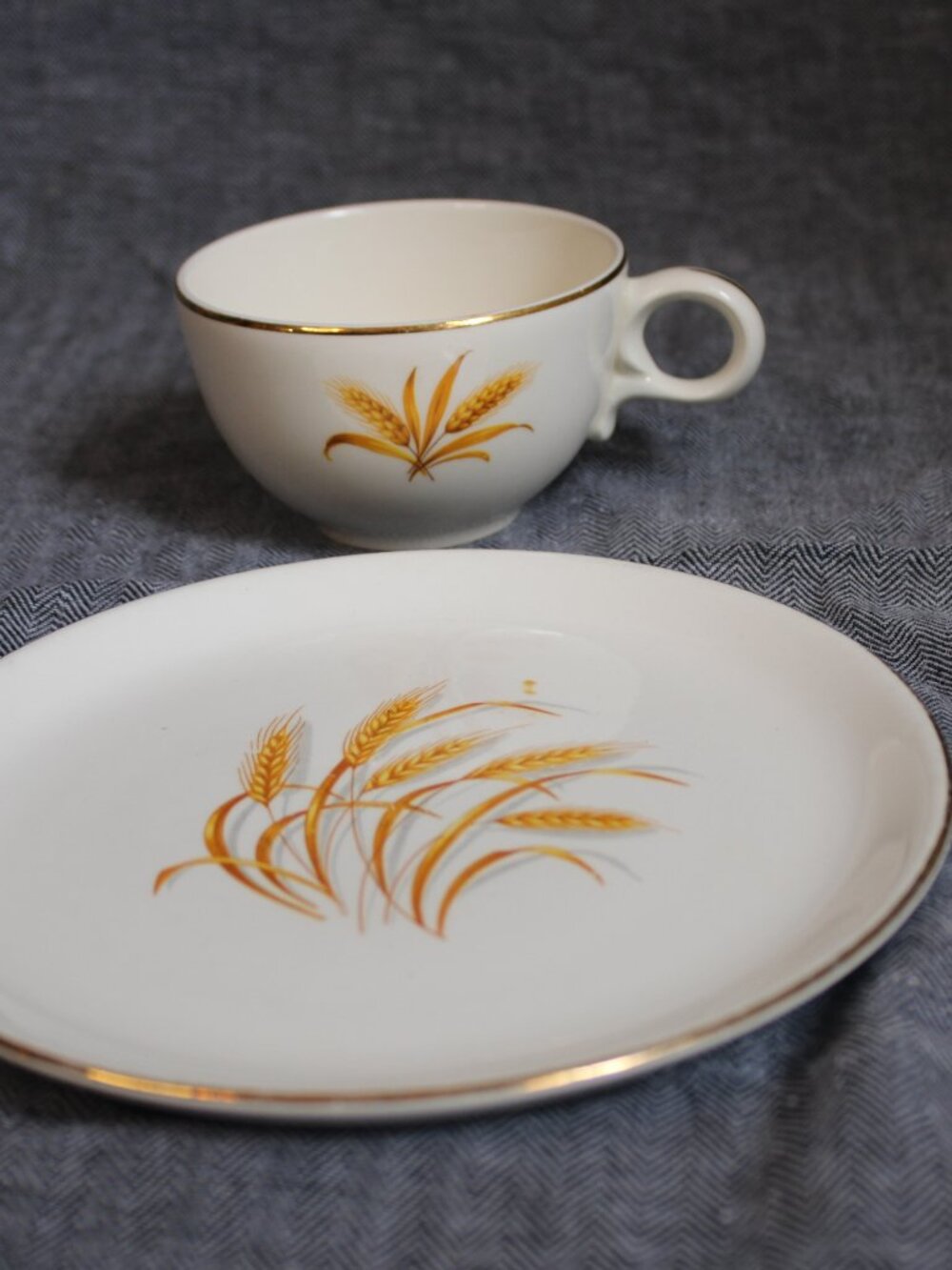Homer Laughlin "Golden Wheat" Teacup & Plate Set, MCM 50s/60s